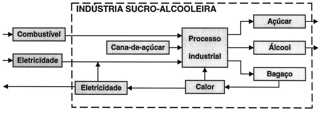 Esses dados indicam que políticas de transporte urbano devem também levar em conta que a maior eficiência no uso de energia ocorre para os a) ônibus, com ocupação típica.