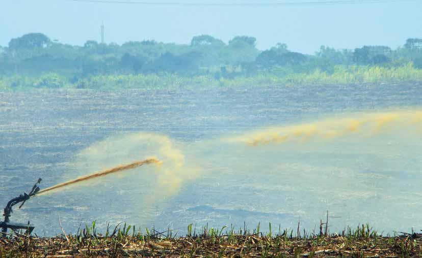 Em 2009, quando o engenheiro agrônomo Sergio Goldemberg batia à porta das empresas e começava a apresentar seus projetos com microalgas, a reação dos interlocutores era a de quem estava ouvindo falar