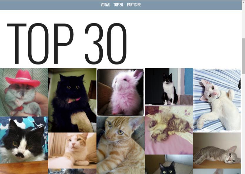 Cota DE Patrocínio Top 30 O patrocinador apresenta os pets mais votados, com