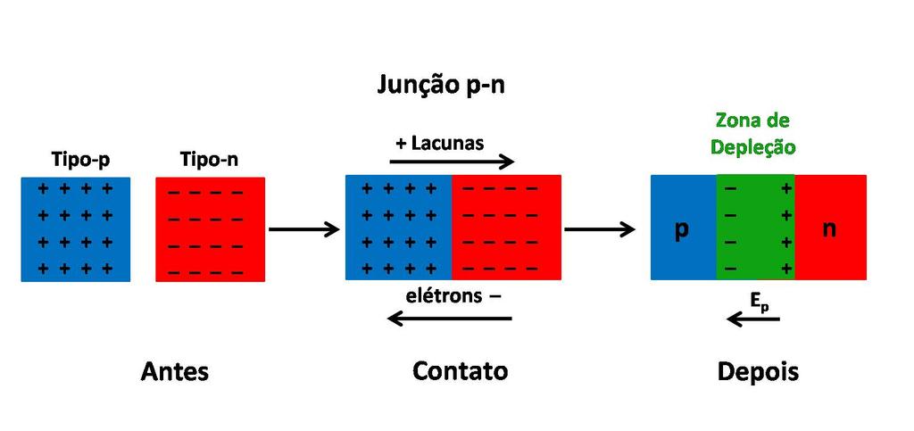 AULA 1 Figura 1.8: Comportamento dos portadores de carga nos materiais semicondutores tipo-n e tipo-p quando colocadas em contato.