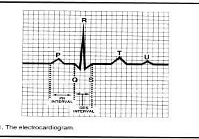 Despolarização ventricular seguida de sístole ventricular Onda T Repolarização ventricular Intervalo PR Desde o inicio da P