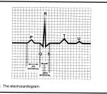 cardíaco Ritmo sinusal Relação A/V Uma onda P precedendo cada QRS Calcular a freqüência cardíaca Freqüência cardíaca normal