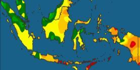 de Sumatra e Java Ocidental, principais regiões produtoras do cacau.