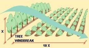 diferença de pressão atmosférica entre