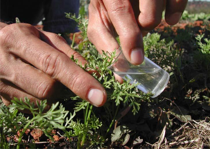 INSTITUTO DE CIÊNCIAS AGRÁRIAS ENSINO, PESQUISA E EXTENSÃO NO SEMIÁRIDO