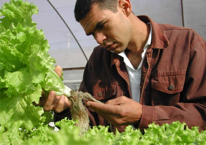 Cursos de graduação oferecidos: Administração Agronomia Engenharia de