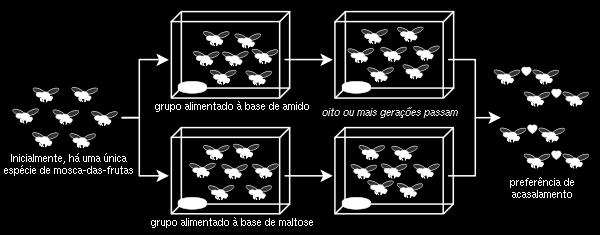 reprodutivo definirá