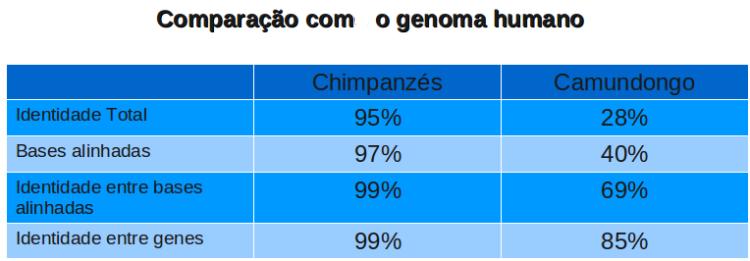 Reformulação em toda a taxonomia