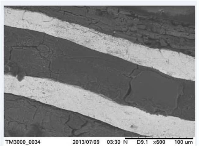 elementos químicos foi obtida através da espectroscopia de energia dispersiva (EDS). 3. RESULTADOS E DISCUSSÕES As Figuras 3.1 (amostra 1) e Figuras 3.