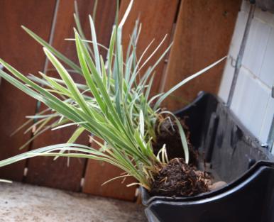 Para o caso de vegetação de maior porte ou em local de muito