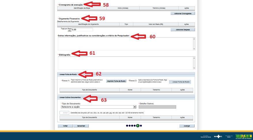 55 O campo Instituição Co-participante possibilita ao pesquisador adicionar instituições que participarão indiretamente do estudo; 56 - O campo "Propõe dispensa do TCLE?