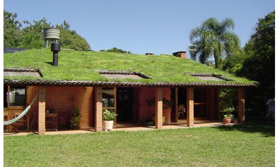 Os telhados verdes intensivos caracterizam-se por ter uma camada mais espessa de solo, podendo estas ser maiores que 20 cm, vegetação com estatura de médio a grande porte e necessitam de uma