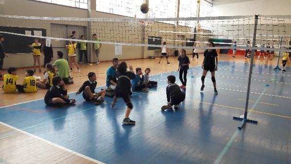 VOLEIBOL