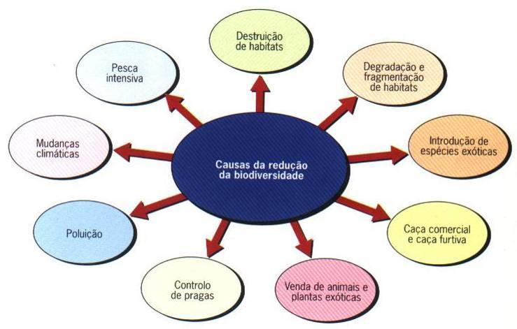 Capítulo 3 A Terra, um planeta único a proteger 3.