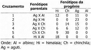 (A) 1/3 (B) 1/6 (C) 1/12 (D) 2/3 (E) 4/9 5- Quando a proporção fenotípica e genotípica no monoibridismo é 1:2:1 teremos um caso de (A) (B) (C) (D) (E) Herança sexual. Dominância incompleta.