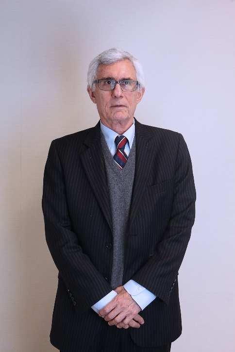 Nelson Eizirik (presidente) Membro da Câmara de Arbitragem do Mercado (CAM) desde 2003 e membro da Câmara de Mediação e Arbitragem da Ordem dos Advogados do Brasil desde 2005.