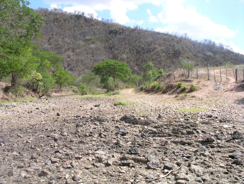SEMI-ÁRIDO Caracteriza-se também por forte insolação, regime de chuvas marcado pela escassez, irregularidade e concentração das