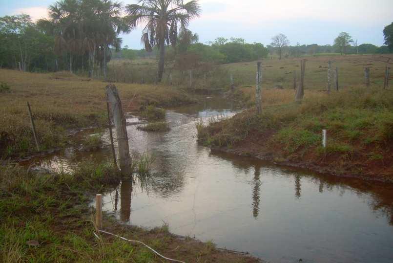 Figura 4: Córrego João Mané Foto: Celso Carvalho Braga A Temperatura da água desempenha um importante papel no controle de espécies aquáticas, podendo ser considerada uma das características mais