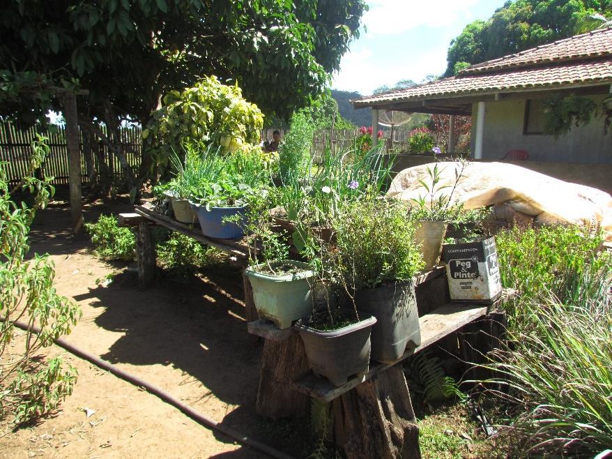 Figura 4 - Girau para cultivo de hortaliças e medicinais em vasos. FOTO: Daniel Braga.