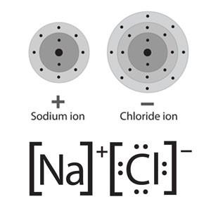 O átomo de metal perde os seus elétrons de valência para o nãometal.