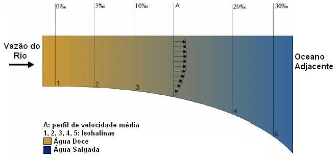 17 Os estuários também podem ser classificados de acordo com a intrusão salina através do perfil longitudinal do canal como proposto por Dyer (1997).