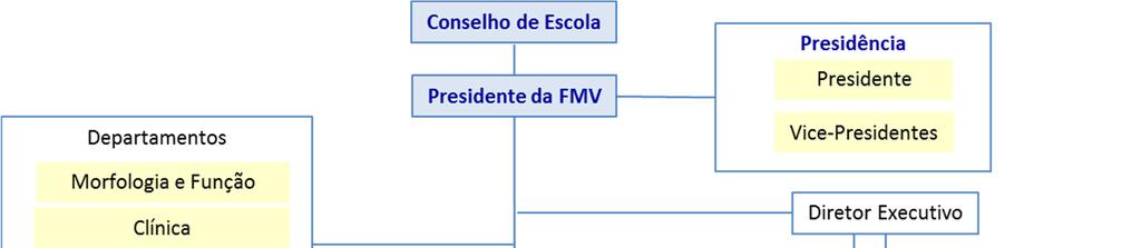 Figura 1. Organograma geral da FMV-ULisboa.