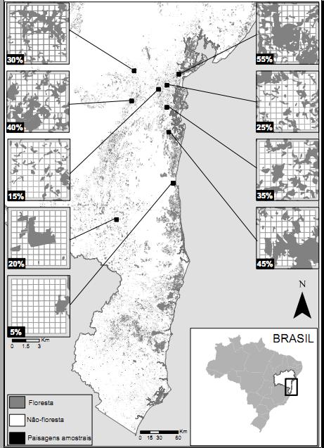 Figura 1: Mapa da área de estudo no estado da Bahia, Brasil, mostrando os remanescentes de Mata Atlântica (áreas acinzentadas) e as nove paisagens amostradas (quadrados pretos).
