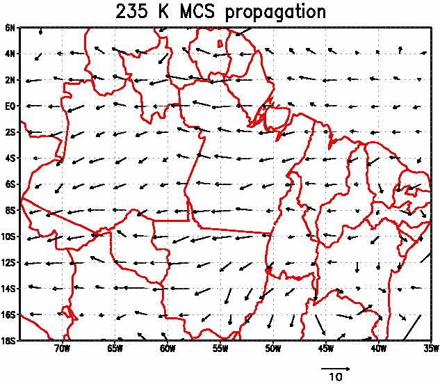 linhas de instabilidade que predominam na organização da convecção nessa região.
