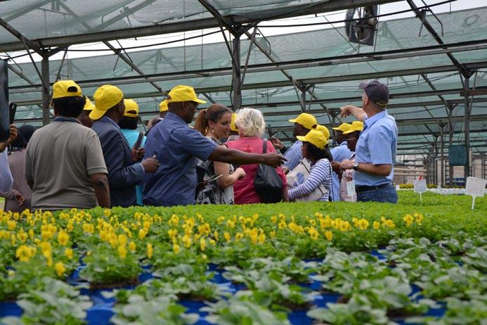 Hazera Genetics A Hazera Genetics é líder global na criação, produção e marketing de sementes de legumes híbridas inovadoras e de sementes para grandes cultivos.