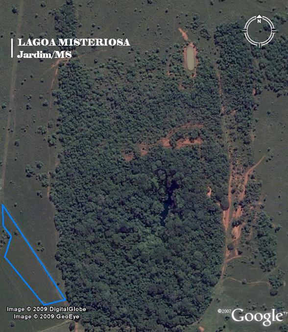Área utilizada para o reflorestamento: A área escolhida localiza-se na porção oeste da Lagoa Misteriosa, ao lado da borda de floresta estacional semidecidual e savana arborizada.