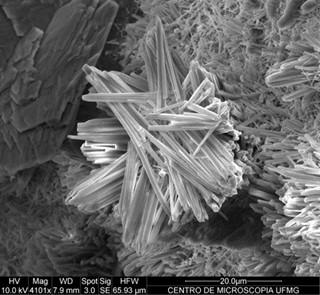 Resultados: Microestrutura Micrografia da argamassa - câmara úmida