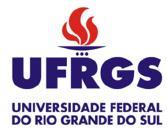 MINISTÉRIO DA EDUCAÇÃO UNIVERSIDADE FEDERAL DO RIO GRANDE DO SUL Escola de Engenharia