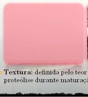 Textura: definida pelo teor de gordura inicial e proteólise