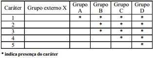 Ramo B e C? Ramo C e D? 13 14 A sequência hierárquica das ramificações do cladograma reflete a sequência de subdivisões de linhagens observadas ao longo do tempo.