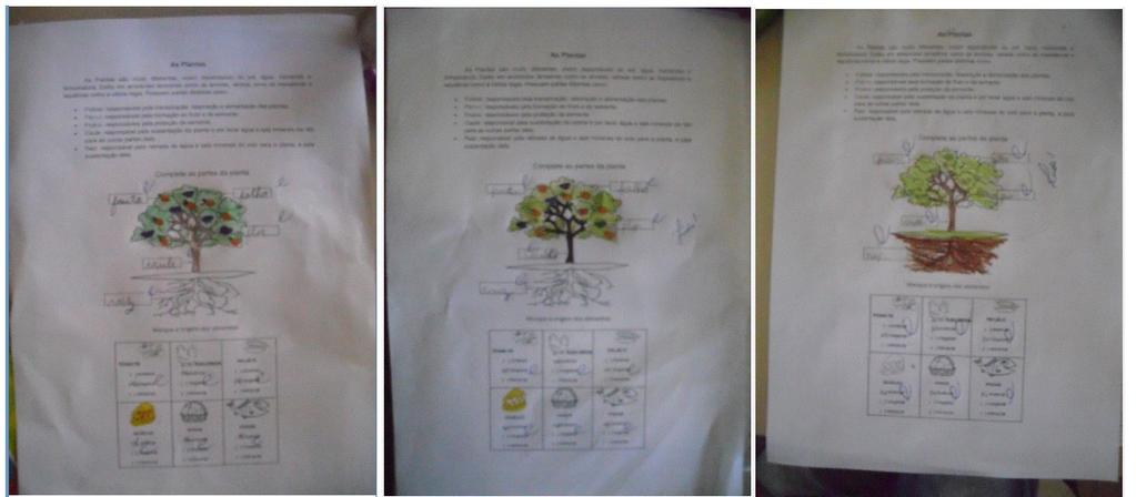 Figura03: Trabalho realizado pelos alunos da turma 4B do 4 ano do