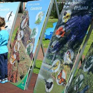Biodiversidade do Funchal complementada com um jogo educativo.