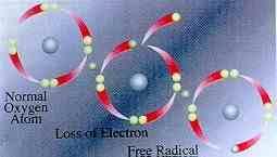 Radical Livre Esquema de um Radical Livre: o átomo apresenta o mesmo número de prótons e de elétrons porém o elétron da última camada eletrônica encontra-se desemparelhado; na