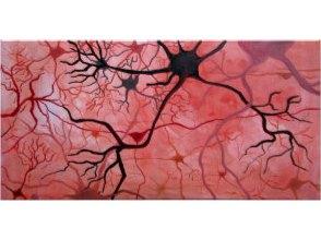 Figura 4: Ramicações dos Neurônios. Os dobramentos das camadas de rocha que formam o solo são criados por dobramentos ainda menores, como um fractal.
