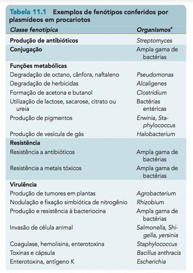 vantagem seletiva, sob determinadas condições Importância biológica dos plasmídeos Carreiam genes que