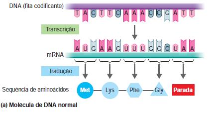 geralmente decorrente de erros cometidos pela DNA polimerase Induzida Resultado da exposição do microrganismo a um