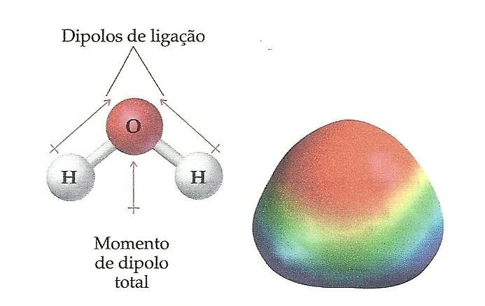 4. Água Molécula de H 2 O: apresenta ligações H-O polares.