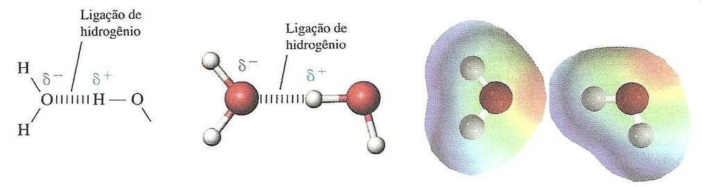 4. Água H (a) (b) (c) Duas moléculas de água unidas por ligação de hidrogênio. (a) Fórmulas estruturais.