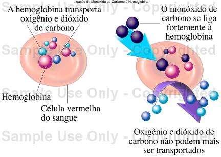 MONÓXIDO DE CARBONO Ligação do Monóxido de Carbono à Hemoglobina Mecanismo de ação para o envenenamento por monóxido de carbono.