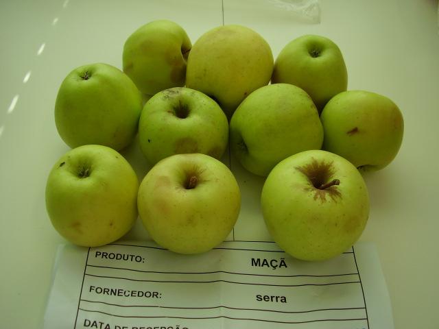 No caso da maçã, existem três tipos de lotes: 1) Lotes com maçã de tamanho homogéneo, ou seja, um só calibre; 2) Lotes com maçã de tamanho