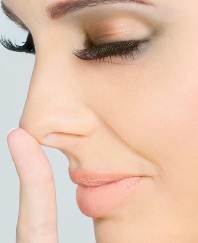 Compreendendo a anatomia do nariz A pele do nariz é sustentada internamente por estruturas ósseas e cartilaginosas.