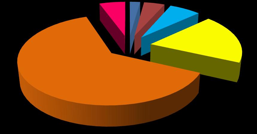 Dia da semana mais movimentado % 09/Agosto 2% 10/ Agosto 11/ Agosto 7% 12/