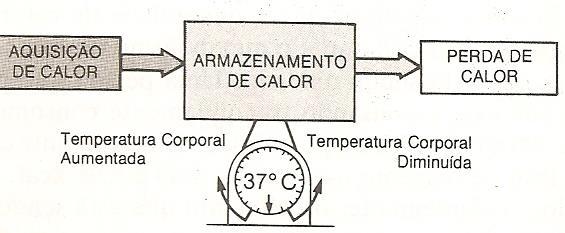 Figura I. Controle da temperatura corporal FONTE: Fox et al., 1991. 7.