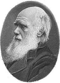 DARWINISMO Charles Robert Darwin (1809-1882) Cientista, naturalista e filósofo inglês.