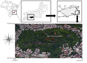 Material e métodos Área de Estudo Para este estudo, folhas de Mimosa caesalpiniifolia Benth foram coletadas na área de preservação ambiental Morro da Saudade (Figura 1), situada no bairro do Humaitá,