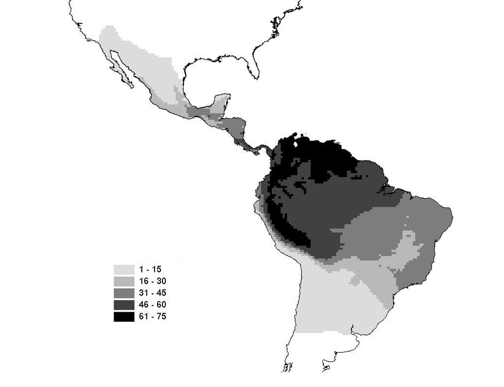 Phyllostomidae: Variação